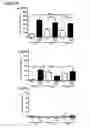 Fig. 26 - Methods for mobilizing mesenchymal stem cells in a patient