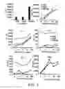 Fig. 06 - METHODS OF MODULATING IMMUNE RESPONSES BY MODULATING TIM-1, TIM-2 AND TIM-4 FUNCTION