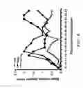 Fig. 09 - METHODS OF MODULATING IMMUNE RESPONSES BY MODULATING TIM-1, TIM-2 AND TIM-4 FUNCTION