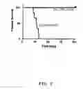 Fig. 12 - METHODS OF MODULATING IMMUNE RESPONSES BY MODULATING TIM-1, TIM-2 AND TIM-4 FUNCTION