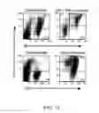 Fig. 20 - METHODS OF MODULATING IMMUNE RESPONSES BY MODULATING TIM-1, TIM-2 AND TIM-4 FUNCTION