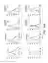 Fig. 22 - METHODS OF MODULATING IMMUNE RESPONSES BY MODULATING TIM-1, TIM-2 AND TIM-4 FUNCTION