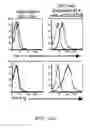 Fig. 23 - METHODS OF MODULATING IMMUNE RESPONSES BY MODULATING TIM-1, TIM-2 AND TIM-4 FUNCTION
