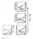 Fig. 24 - METHODS OF MODULATING IMMUNE RESPONSES BY MODULATING TIM-1, TIM-2 AND TIM-4 FUNCTION