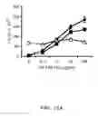 Fig. 28 - METHODS OF MODULATING IMMUNE RESPONSES BY MODULATING TIM-1, TIM-2 AND TIM-4 FUNCTION