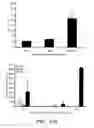 Fig. 30 - METHODS OF MODULATING IMMUNE RESPONSES BY MODULATING TIM-1, TIM-2 AND TIM-4 FUNCTION