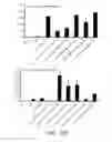 Fig. 32 - METHODS OF MODULATING IMMUNE RESPONSES BY MODULATING TIM-1, TIM-2 AND TIM-4 FUNCTION