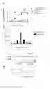 Fig. 02 - METHOD FOR IN-VITRO DETECTING PATHOGENIC T HELPER CELLS AND PHARMACEUTICAL COMPOSITIONS FOR TREATING AUTOIMMUNE DISEASES