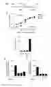 Fig. 03 - METHOD FOR IN-VITRO DETECTING PATHOGENIC T HELPER CELLS AND PHARMACEUTICAL COMPOSITIONS FOR TREATING AUTOIMMUNE DISEASES