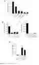 Fig. 04 - METHOD FOR IN-VITRO DETECTING PATHOGENIC T HELPER CELLS AND PHARMACEUTICAL COMPOSITIONS FOR TREATING AUTOIMMUNE DISEASES