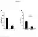 Fig. 05 - Therapeutic agents for inducing platelet fragmentation and treating thromboembolic disorders