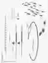 Fig. 06 - Cell permeable peptide