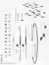 Fig. 07 - Cell permeable peptide