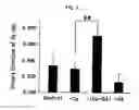 Fig. 03 - ACCELERATION AGENT OF CALCIUM ABSORPTION