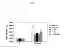 Fig. 04 - ACCELERATION AGENT OF CALCIUM ABSORPTION
