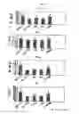 Fig. 06 - ACCELERATION AGENT OF CALCIUM ABSORPTION