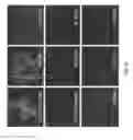 Fig. 06 - Production of and uses for decellularized lung tissue