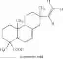 Fig. 06 - USE LARCH WOOD FOR TREATING INFLAMMATION