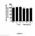 Fig. 28 - ANTI-ANGIOGENESIS, ANTICANCER PROLIFERATION PROPERTIES OF LYMPHOCYTIC-DERIVED MICROPARTICLES