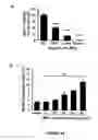 Fig. 35 - ANTI-ANGIOGENESIS, ANTICANCER PROLIFERATION PROPERTIES OF LYMPHOCYTIC-DERIVED MICROPARTICLES