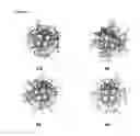 Fig. 20 - Antimalarial Quinolines and Methods of Use Thereof
