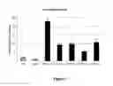 Fig. 10 - Plants with modified starch metabolism