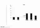 Fig. 07 - Yeast strains and methods of use thereof