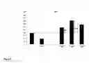 Fig. 09 - Yeast strains and methods of use thereof