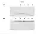 Fig. 09 - METHOD OF MANIPULATING THE SURFACE DENSITY OF FUNCTIONAL MOLECULES ON NANOPARTICLES