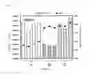 Fig. 07 - Method for evaluating oxide dielectric breakdown voltage of a silicon single crystal wafer