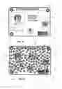 Fig. 02 - Tamper evident adhesive and identification document including same