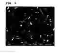 Fig. 06 - Composite material