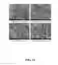 Fig. 19 - FUNCTIONALIZED NANOSCALE FIBER FILMS, COMPOSITES, AND METHODS FOR FUNCTIONALIZATION OF NANOSCALE FIBER FILMS