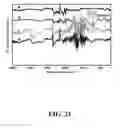 Fig. 26 - FUNCTIONALIZED NANOSCALE FIBER FILMS, COMPOSITES, AND METHODS FOR FUNCTIONALIZATION OF NANOSCALE FIBER FILMS