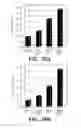Fig. 46 - FUNCTIONALIZED NANOSCALE FIBER FILMS, COMPOSITES, AND METHODS FOR FUNCTIONALIZATION OF NANOSCALE FIBER FILMS