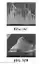 Fig. 48 - FUNCTIONALIZED NANOSCALE FIBER FILMS, COMPOSITES, AND METHODS FOR FUNCTIONALIZATION OF NANOSCALE FIBER FILMS