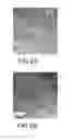Fig. 04 - Self assembled multi-layer nanocomposite of graphene and metal oxide materials