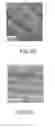 Fig. 05 - Self assembled multi-layer nanocomposite of graphene and metal oxide materials