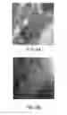 Fig. 09 - Self assembled multi-layer nanocomposite of graphene and metal oxide materials