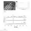 Fig. 02 - Mesoporous CoOnanoparticles, associated methods and applications