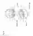 Fig. 05 - Artificial molar teeth