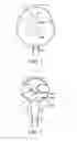 Fig. 02 - Systems and Methods for Evaluating Medication Delivery from a Delivery Apparatus Using a Model Face and Airway