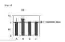 Fig. 07 - METHOD FOR MEASURING DNA METHYLATION