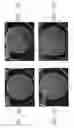 Fig. 09 - PATHOGEN DETECTION IN LARGE-VOLUME PARTICULATE SAMPLES