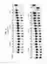 Fig. 03 - Polymerases for Incorporating Modified Nucleotides