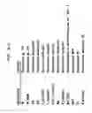 Fig. 07 - Polymerases for Incorporating Modified Nucleotides