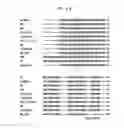 Fig. 14 - Polymerases for Incorporating Modified Nucleotides