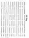 Fig. 06 - CYCLIC NUCLEOTIDE-SPECIFIC PHOSPHODIESTERASES FROM LEISHMANIA AND USES THEREOF