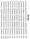 Fig. 07 - CYCLIC NUCLEOTIDE-SPECIFIC PHOSPHODIESTERASES FROM LEISHMANIA AND USES THEREOF