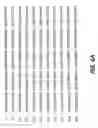 Fig. 24 - CYCLIC NUCLEOTIDE-SPECIFIC PHOSPHODIESTERASES FROM LEISHMANIA AND USES THEREOF